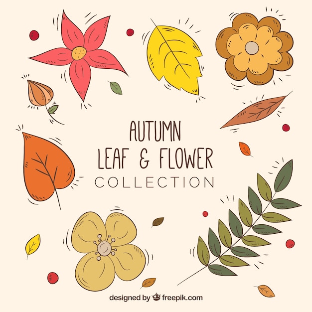 Free Vector collection of autumnal hand drawn flowers