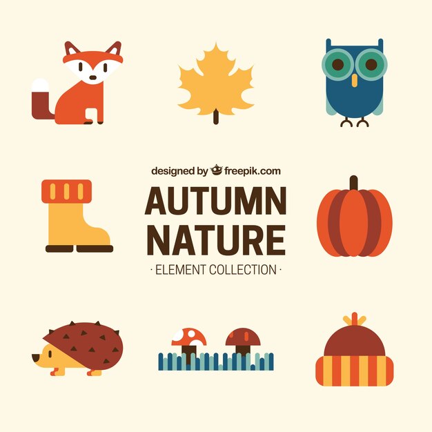 Collection of autumnal natural elements in flat design