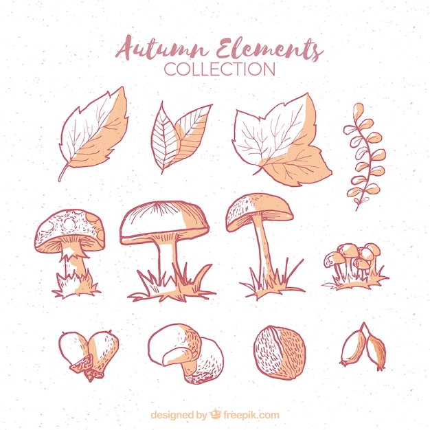 Free Vector collection of autumnal natural elements and mushrooms