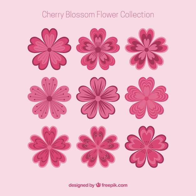 Free Vector collection of beautiful cherry blossoms