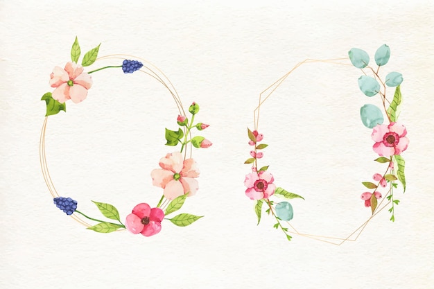 Free vector collection of beautiful floral frames