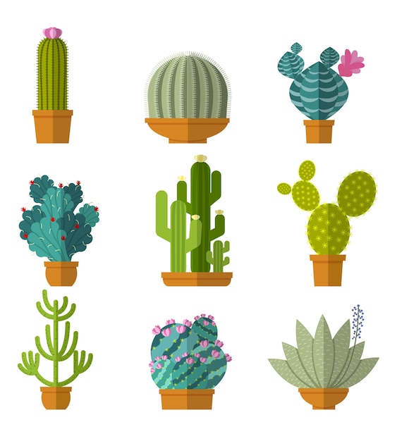 Free Vector collection of cactus in flat style.