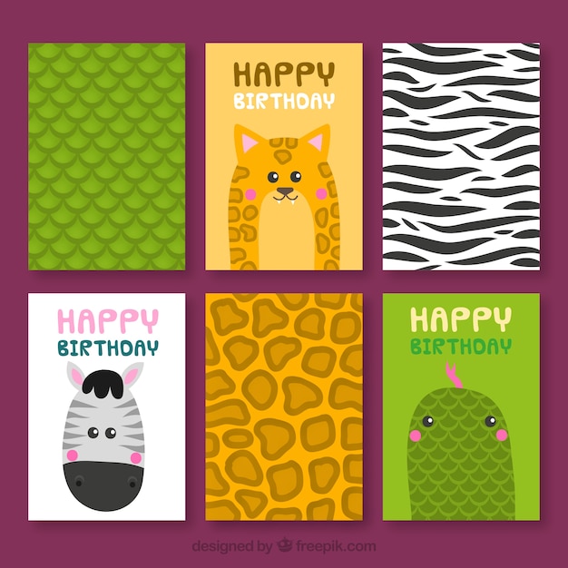 Collection of cards with wild animals and skins