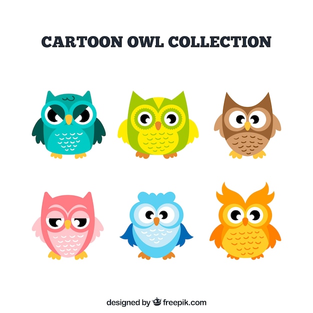 Collection of cartoon owls in different colors