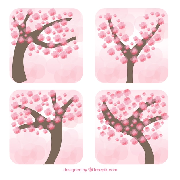 Collection of cherry blossom flowers with blurred effect