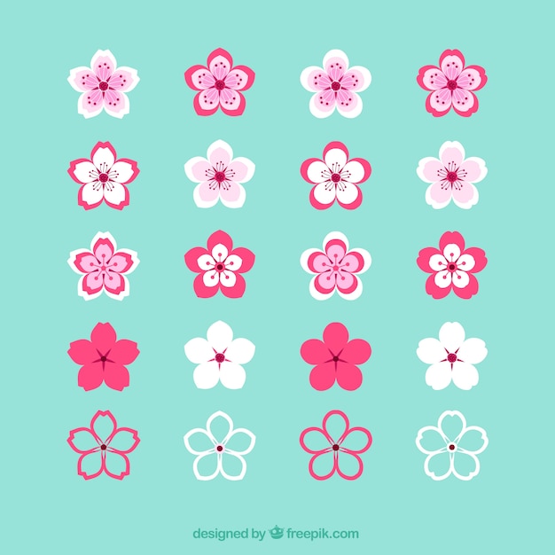 Collection of cherry blossoms