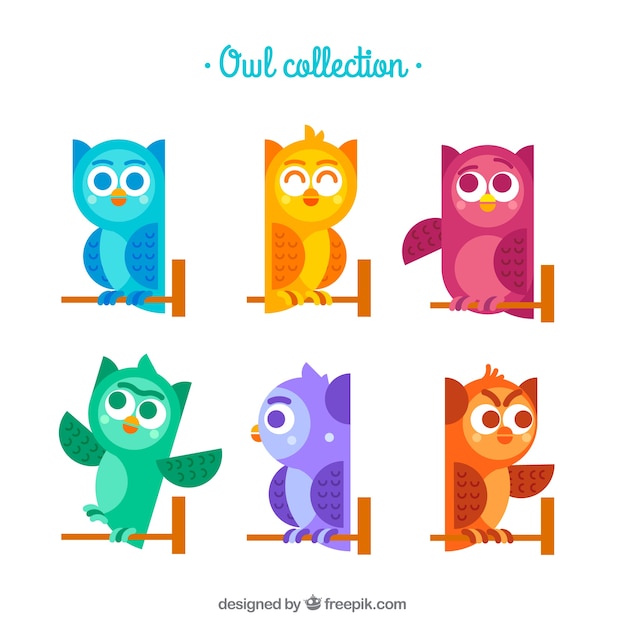 Free Vector collection of colorful owl in flat design