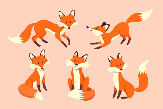 Collection of cute drawn foxes