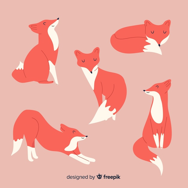 Free Vector collection of cute little foxes