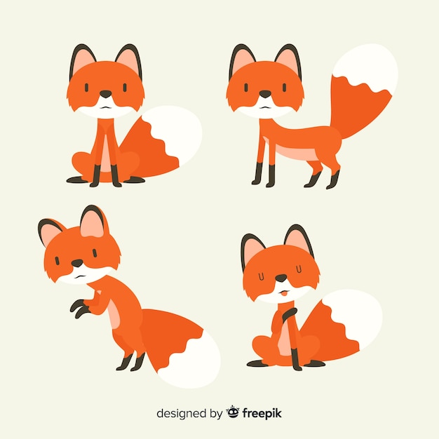 Free Vector collection of cute little foxes