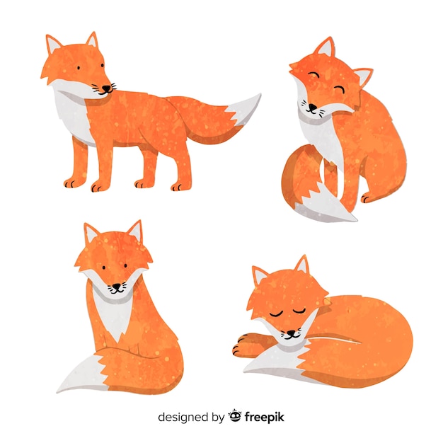 Free Vector collection of cute watercolor foxes