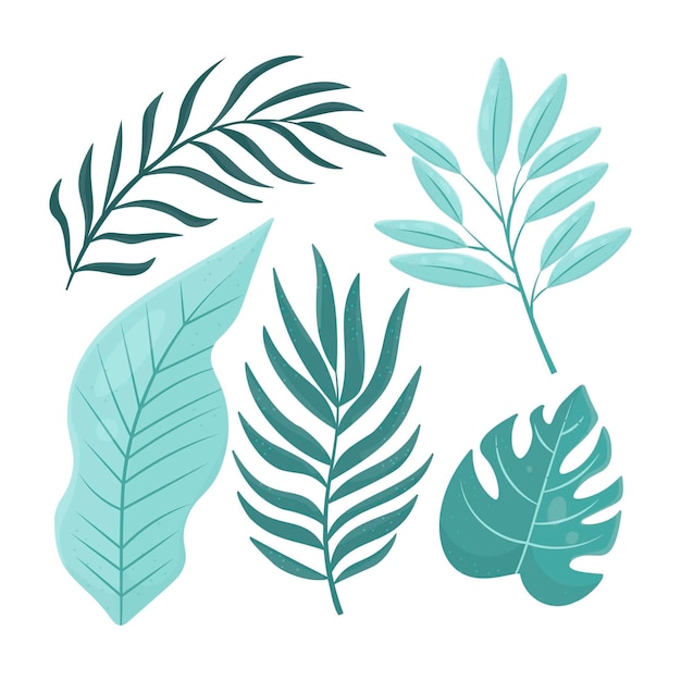 Collection of different flat design leaves