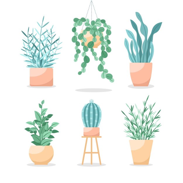 Collection of different green houseplants