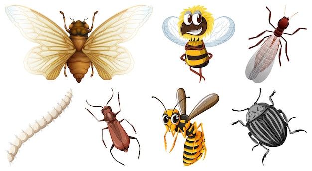 Free Vector collection of different insects vector