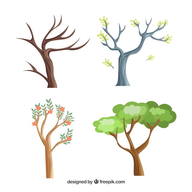 Collection of different trees