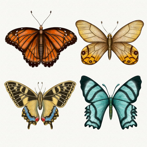 Collection of different watercolor butterflies