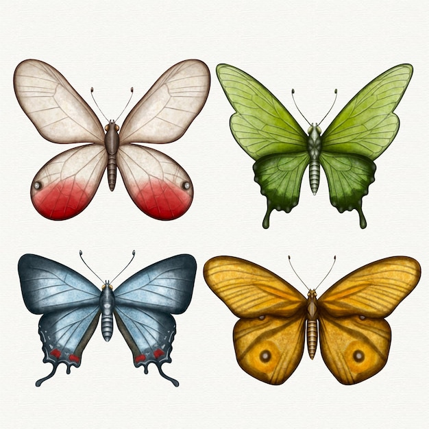 Free Vector collection of different watercolor butterflies