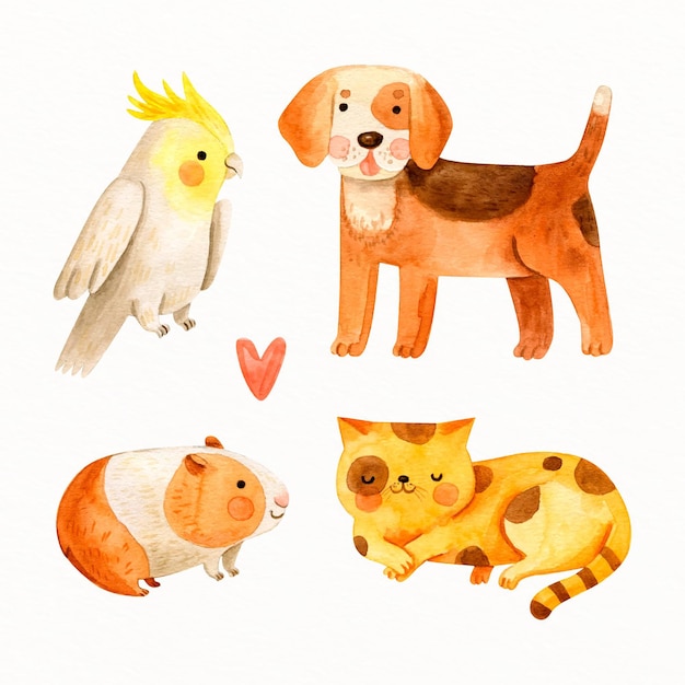 Collection of drawn cute pets