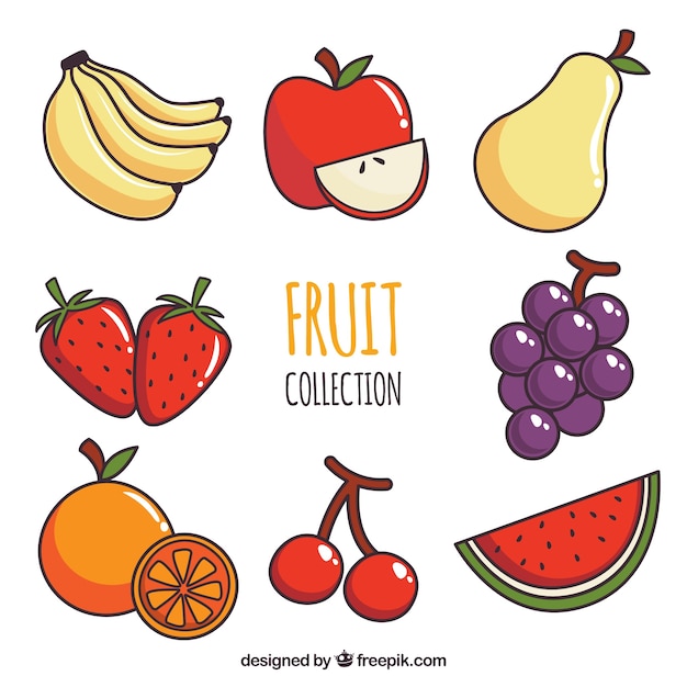 Collection of eight different fruits