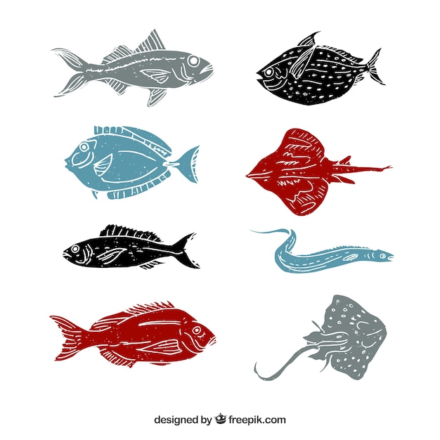 Collection of eight fish