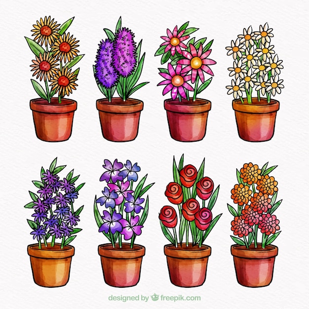 Free Vector collection of eight flowers