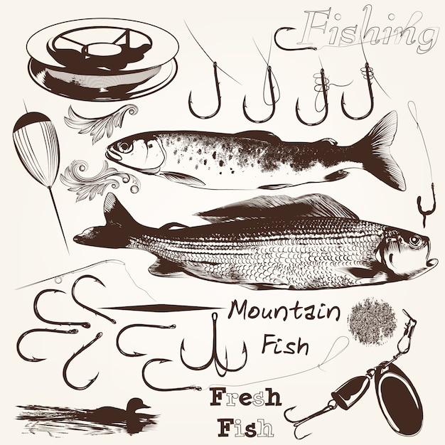 Free Vector collection of fishes and fishing equipment