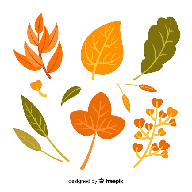 Collection of flat autumn leaves