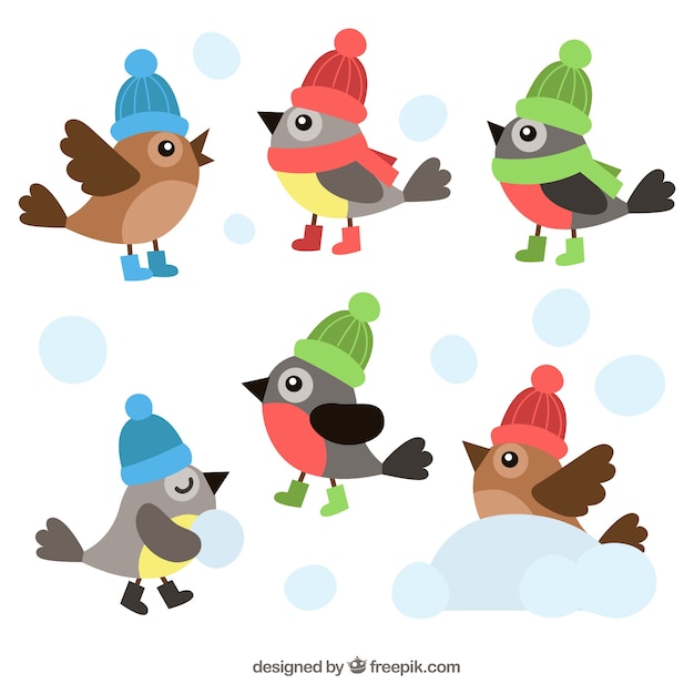 Collection of flat birds with colorful hats