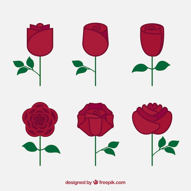 Collection of flat decorative roses