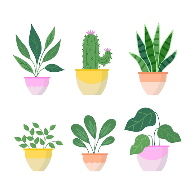 Free Vector collection of flat design houseplants