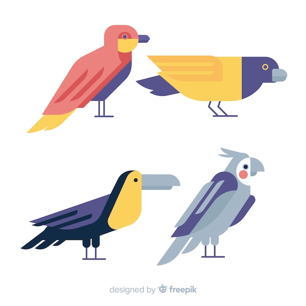 Free Vector collection of flat exotic bird