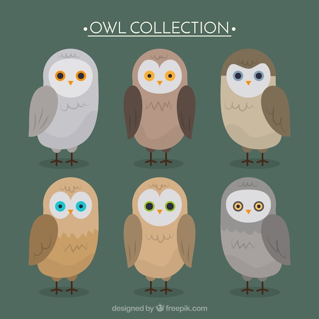 Free Vector collection of flat owls in brown and gray tones