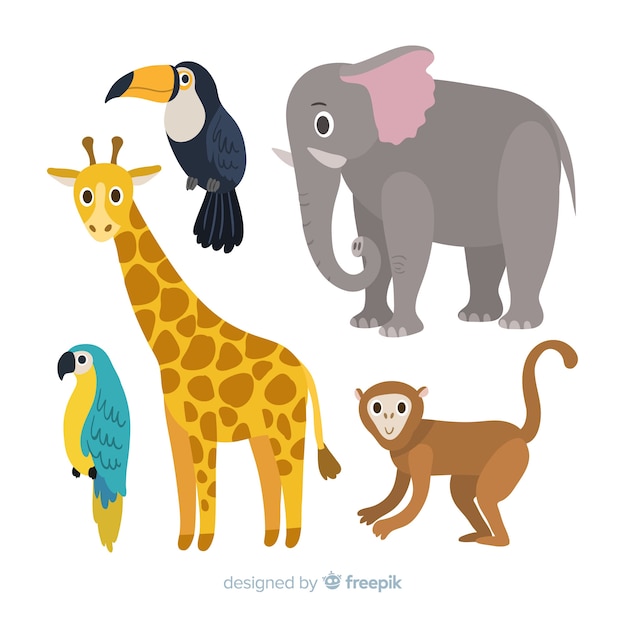 Collection of flat tropical animal