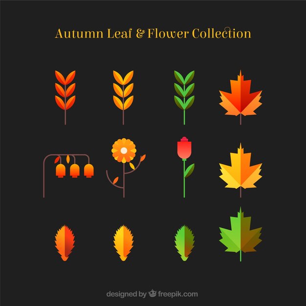 Collection of flower and autumn leaves in flat design