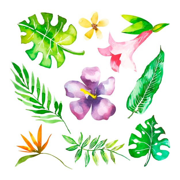 Collection of flowers and tropical leaves