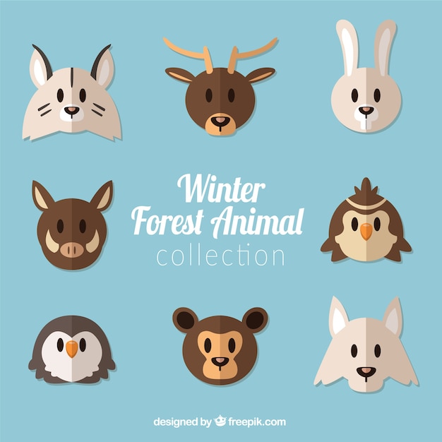 Free Vector collection of forest animals in flat design