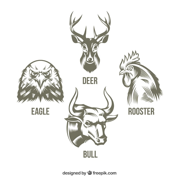 Free Vector collection of hand drawn animals 