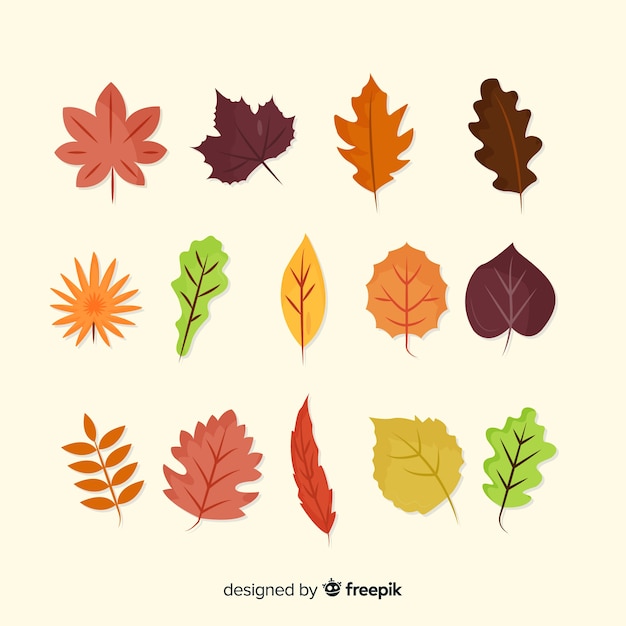 Collection of hand drawn autumn leaves