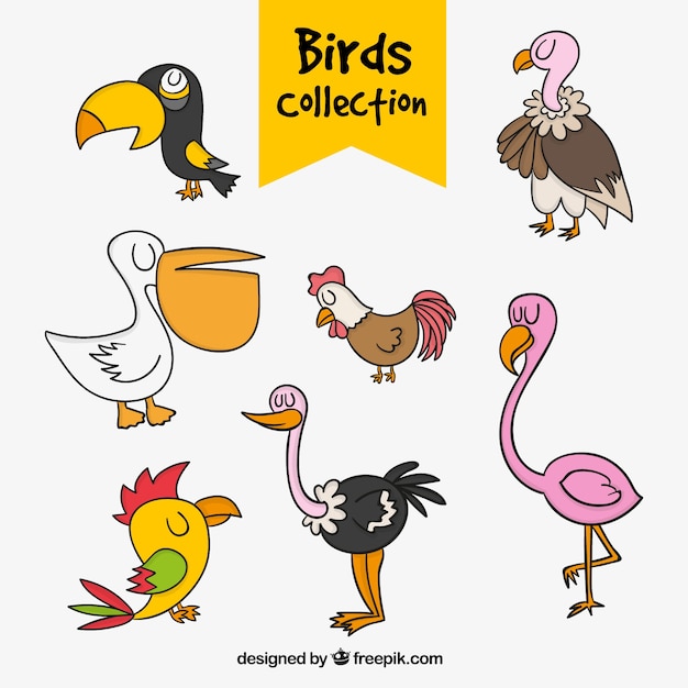 Free Vector collection of hand-drawn birds