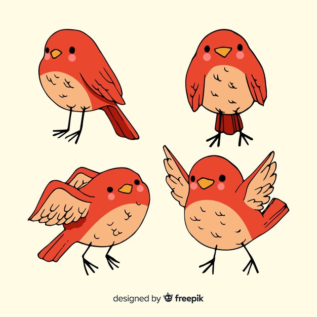 Collection of hand drawn birds