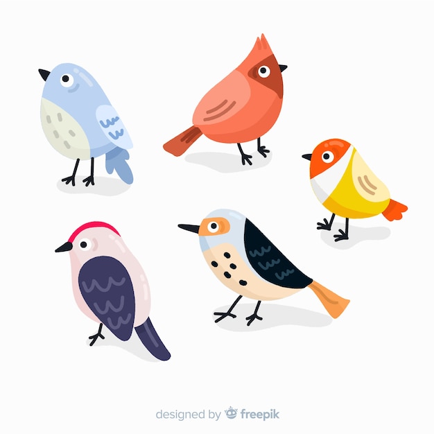 Free Vector collection of hand drawn birds