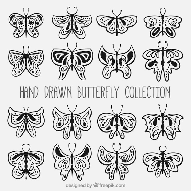 Collection of hand-drawn butterflies in ornamental style