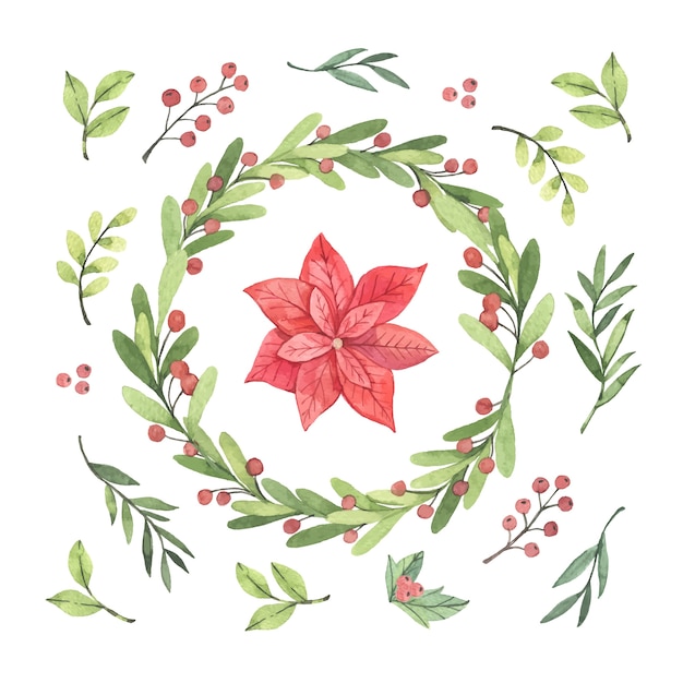 Free Vector collection of hand drawn christmas flower & wreath