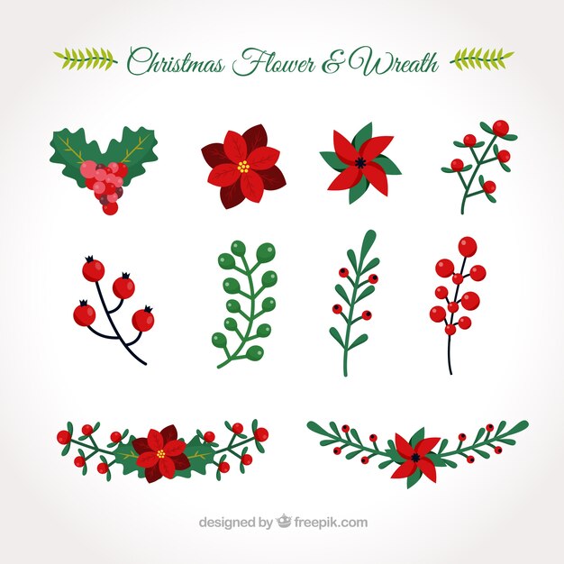 Collection of hand drawn christmas flowers