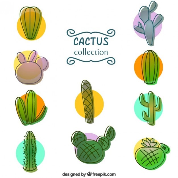 Free Vector collection of hand drawn colored cactus