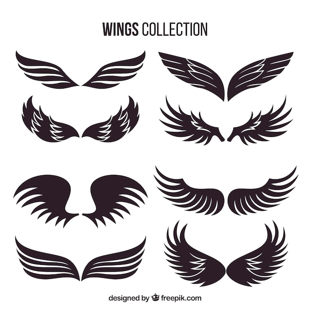 Collection of hand drawn dark wing