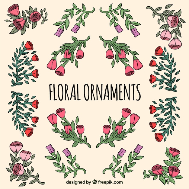 Collection of hand drawn floral ornament