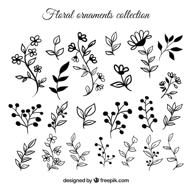 Collection of hand drawn flowers and leaves 