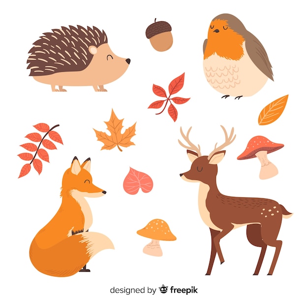 Collection of hand drawn forest animals