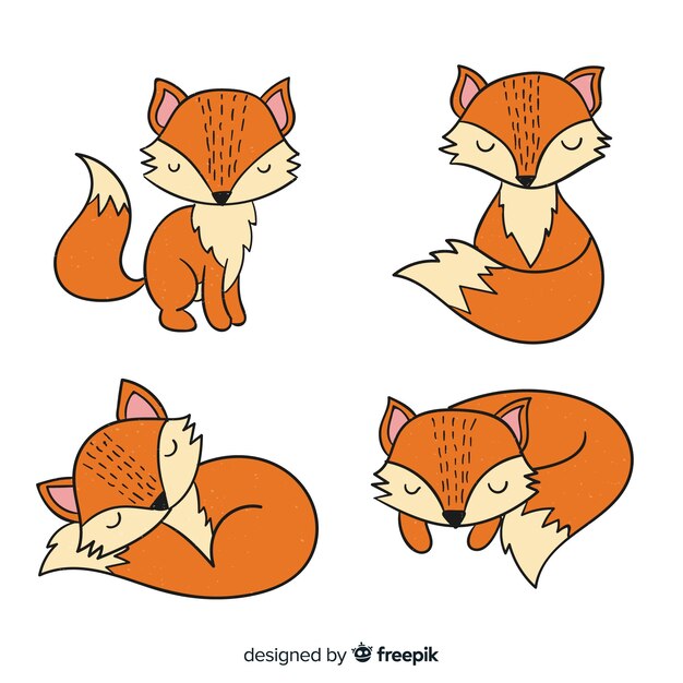 Collection of hand drawn foxes